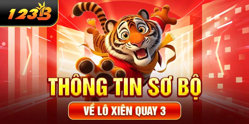 Thông tin sơ bộ về lô xiên quay 3